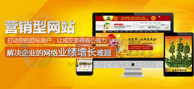 愷策網(wǎng)優(yōu)為企業(yè)解決網(wǎng)絡(luò)業(yè)績增長難題