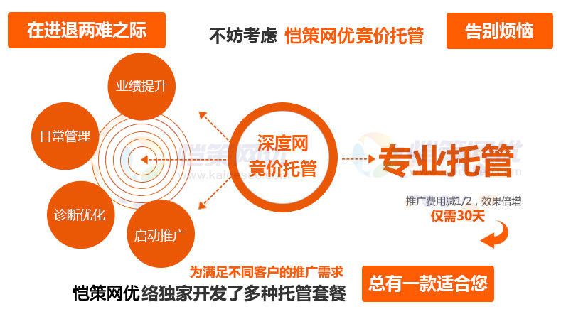 愷策網(wǎng)優(yōu)競價托管服務(wù)套餐總有一款適合您